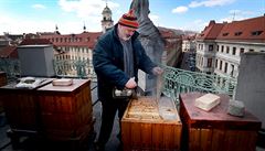 Vela Zdenk Rika u vela praského magistrátu ped zaátkem jara.