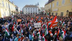 Píznivci hnutí Fidesz a Viktora Orbana