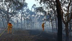 hasii hasí poár na pedmstí australského Sydney