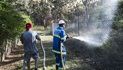 hasii hasí poár na pedmstí australského Sydney
