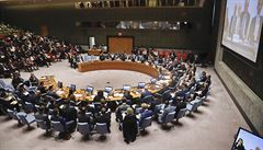 Zasedání Rady bezpenosti OSN.