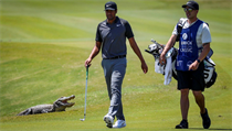 Americkho golfistu Talora Goocha obtoval na turnaji serilu PGA v Avondale...