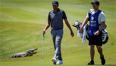 Amerického golfistu Talora Goocha obtoval na turnaji seriálu PGA v Avondale...