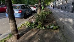 Guerillové zahradniení v praské Ruské ulici.