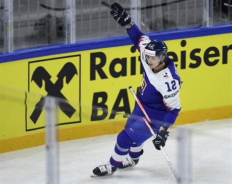 Utkání skupiny A mistrovství svta v hokeji: Slovensko - Francie. Dávid Bondra...