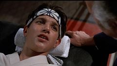 Ralph Macchio se v seriálu vrací v roli Dannyho.