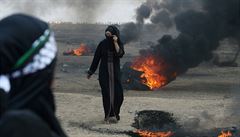 Jak se vypořádat s kůrovcem? A Palestinci chystají další protesty v pásmu Gazy