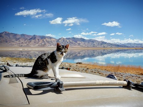 Tádžikistán - jedna póza pro fotografa na Pamíru u jezera Rangkul..