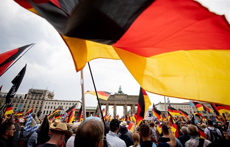 Protivládní demonstrace AfD, tetí nejsilnjí strany ve Spolkovém snmu, se...