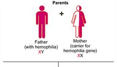 Procentuální pítomnost sráecích faktor v souvislosti se závaností hemofilie.
