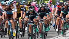 Peloton pi dvacáté etap Giro d'Italia 2018.
