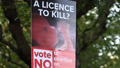 Licence zabíjet. I tak nazývají zastánci zákazu právo na potrat.