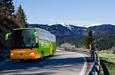 Po cel Evrop jezd se zelenmi autobusy pes 7000 idi.