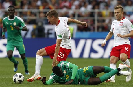 Momentka z utkání Polsko-Senegal.