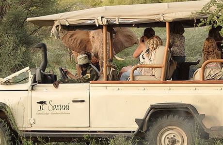 Safari v oblasti Kalama je bohaté pedevím na pozorování slon. Samburu, Kea.