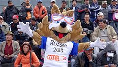 Vlk Zabivaka, oficiální maskot fotbalového ampionátu v Rusku, ped vstupem na...