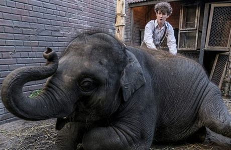Chlapec Tom a slon Buster. Snmek Zoo (2018). Reie: Colin McIvor.