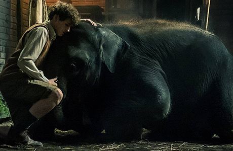 Chlapec Tom a slon Buster. Snímek Zoo (2018). Reie: Colin McIvor.