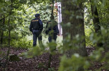 Policisté se zabývají případem pumy, která utekla ze zoo ve Zvoli | Domov |  Lidovky.cz