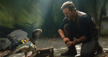 Owen (Chris Pratt) a jeho svenkyn Blue. Snímek Jurský svt: Zánik íe...