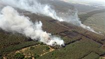 Plameny zniily v roce 2012 165 hektar lesa. Sttn podnik Lesy R vyslil...