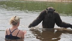 Vlezla v obleení do vody a zaala bedliv zkoumat, co na to opice bude íkat....