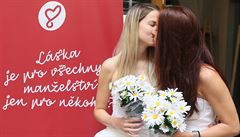 Aktivisté upozorňovali zejména na to, že registrované partnerství a manželství... | na serveru Lidovky.cz | aktuální zprávy