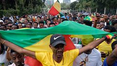 Bhem proslovu etiopského premiéra protestovaly desítky lidí.