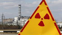 Americký sen toulavých psů z Černobylu. Nadace chystá projekt adopce na jejich záchranu