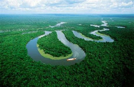 Amazonsk detn prales, t Amazonie - oblast v jin Americe na zem sedmi...