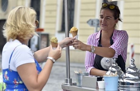 Prodejce zmrzliny. ilustraní snímek