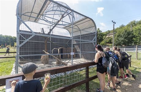 V Zooparku Karltejn je okolo sedmnácti zvíat, z nich nkteré mly jít i do Berouskova chovu v Bati.