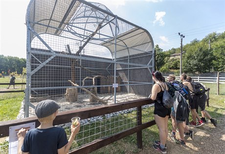V Zooparku Karlštejn je okolo sedmnácti zvířat, z nichž některé měly jít i do Berouskova chovu v Bašti.