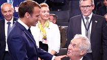 Francouzsk prezident Emmanuel Macron s eskm prezidentem Miloem Zemanu na...