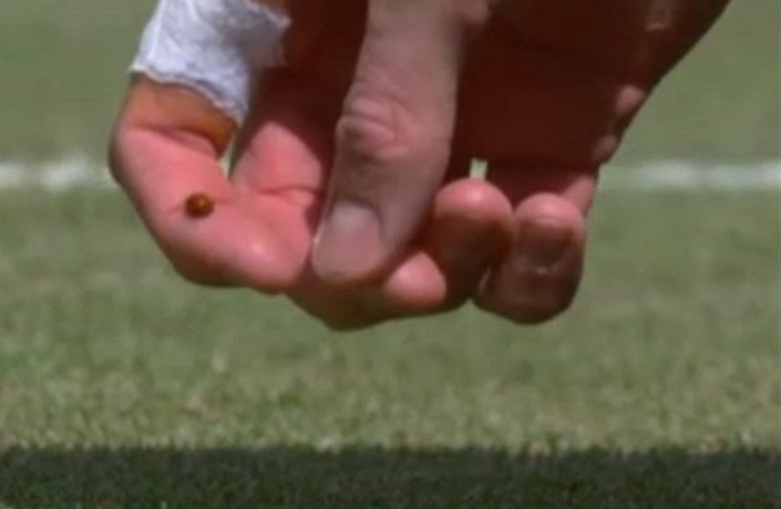 Ameri�an John Isner zachra�uje beru�ku.