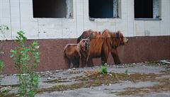 Graffiti v okolí ernobylu - místo svou atmosférou láká mnoho rzných umlc