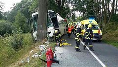 Linkov autobus na Olomoucku narazil do stromu. Zranilo se 11 lid, nkte tce