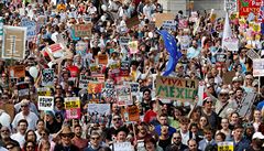 Demonstranti protestují proti návtv Donalda Trumpa v centrálním Londýn.