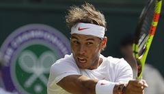 Rafael Nadal ve tvrtfinále Wimbledonu s Juanem Martinem Del Potrem