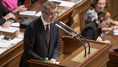 Andrej Babi ve svém projevu v Poslanecké snmovn poádal vládu o dvru.