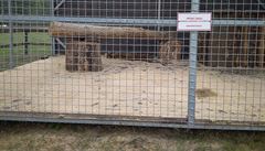 Podle Bobka vypadají klece v zooparku zabezpeen a výbhy nejsou malé.