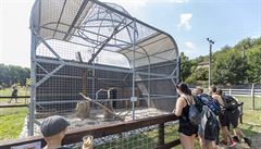 V Zooparku Karlštejn je okolo sedmnácti zvířat, z nichž některé měly jít i do... | na serveru Lidovky.cz | aktuální zprávy