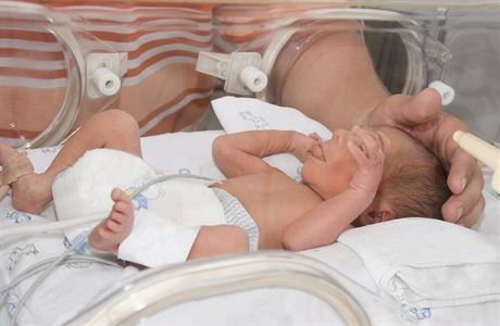 Novorozen v inkubátoru