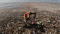 Plastové odpadky vyplavené na pláž v Santo Domingo odklízejí vojáci i...