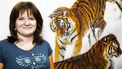 Jak se přišlo na tygří jatka? Tygři umírali podezřele brzo, popisuje inspektorka