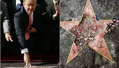 Vandal zničil krumpáčem hvězdu Donalda Trumpa na chodníku slávy