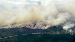 Jak Dragouni v Česku. Švédsko sužují desítky velkých požárů, lidé u silnic vítali obří konvoj polských hasičů