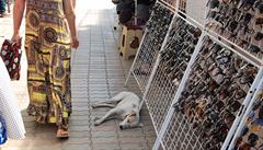 Slune�ní brýle na kavkazském bazaru.