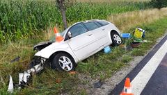 K nehod dvou osobních aut dolo 21. ervence poblí jihoeské Tebon.