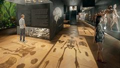 Expozice Lidé: Celek propojující témata antropologie a archeologie. Návtvníci...